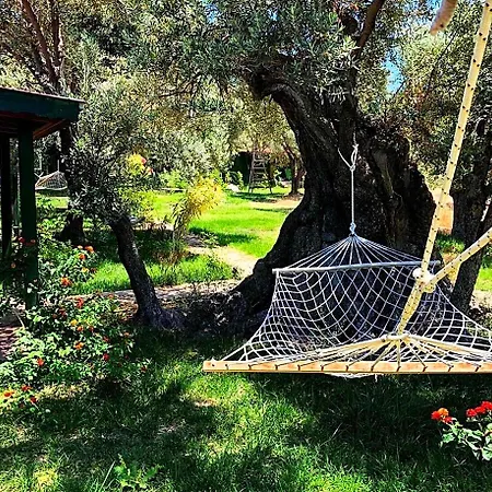 My Mesudiye (Datca)