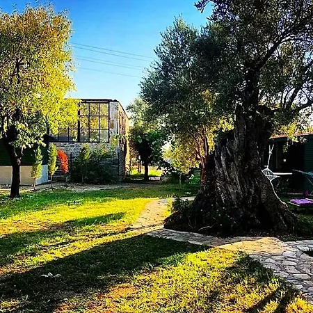 My Hotel 5*