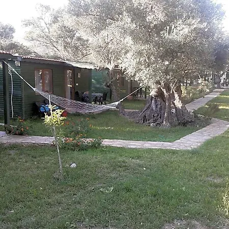 Hotel My 5*